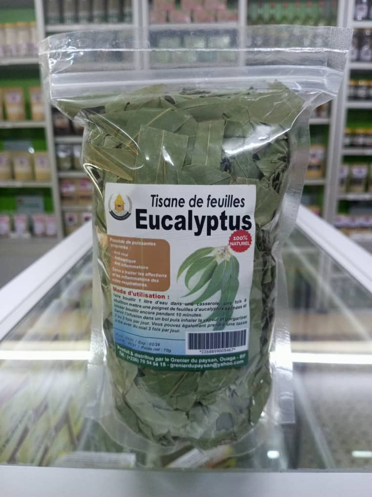 Eucalyptus
